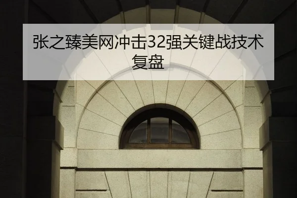 张之臻美网冲击32强关键战技术复盘